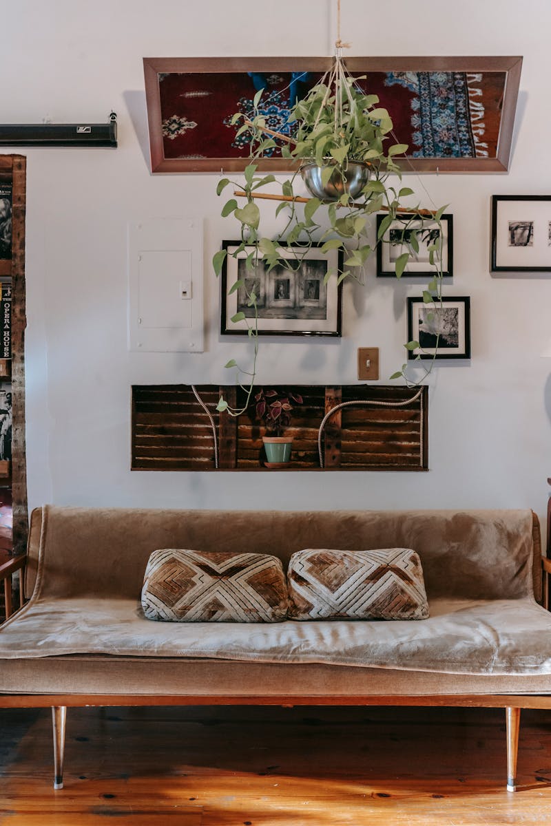 Black Mold vs. Other Mold: What Homeowners Need to Know