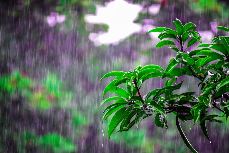 Flood Cleanup Checklist After Heavy Rain